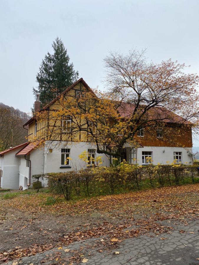 Ferien Langer Grund Mitten Im Wald Bad Pyrmont Bagian luar foto